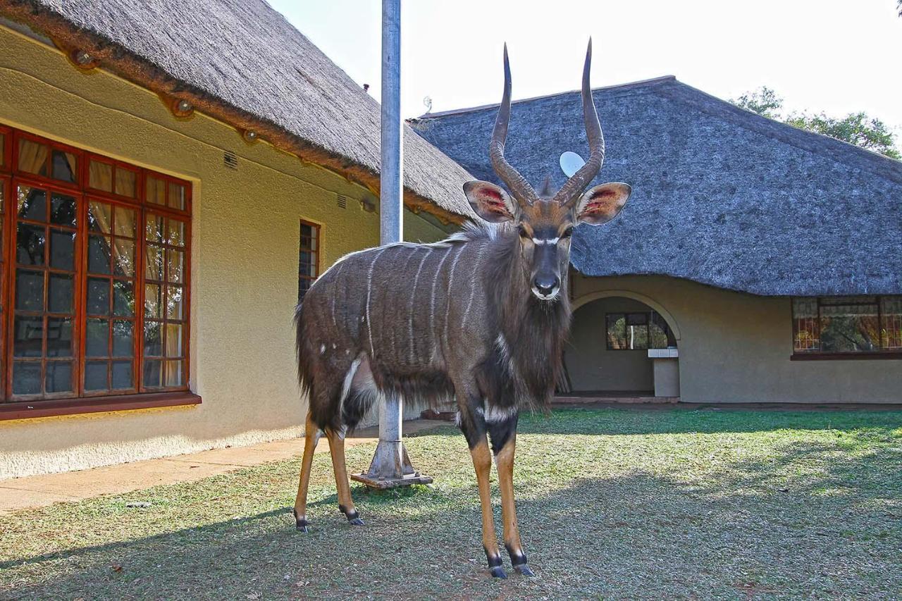 Fish Eagle Guest Farm Vila Phalaborwa Exterior foto